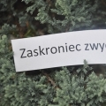 WAKACJE PEŁNE PASJI