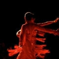 Gala Taneczna 2009